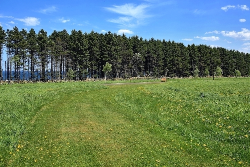 オホーツク流氷公園の美しいクロカンコース