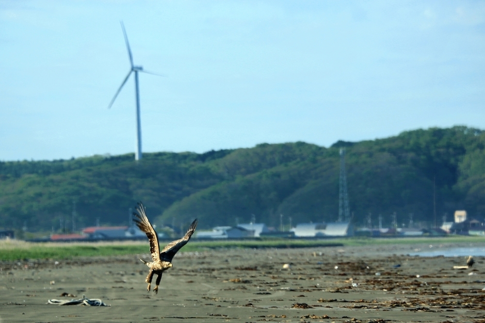「浜中町なぎさのドライブウェイ」