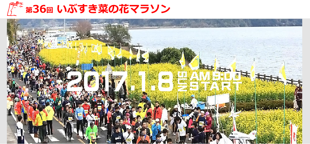 第36回 いぶすき菜の花マラソン フルマラソンコース丨ラントリップ Runtrip