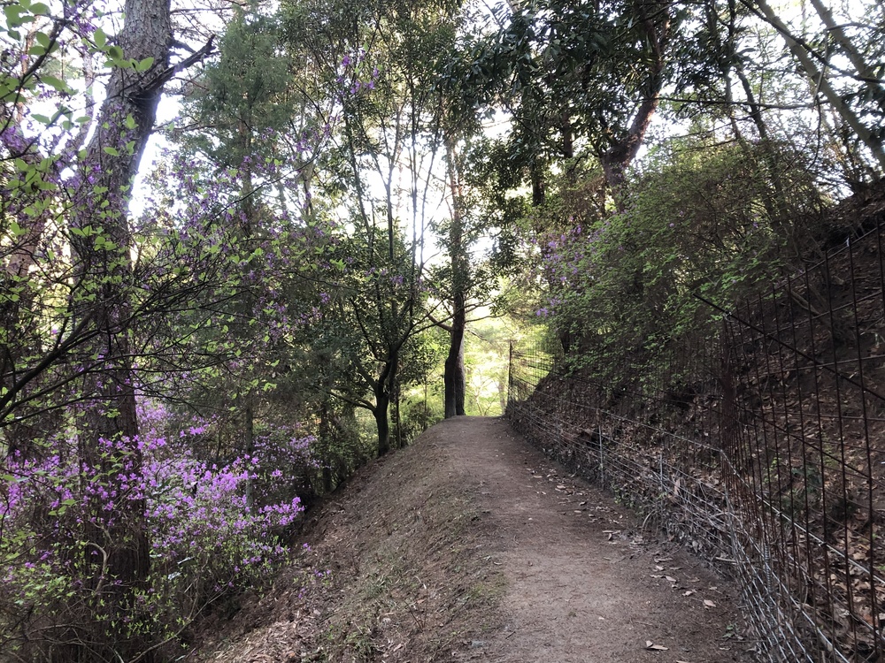 トレイルと玉野で一番？の激坂アタック