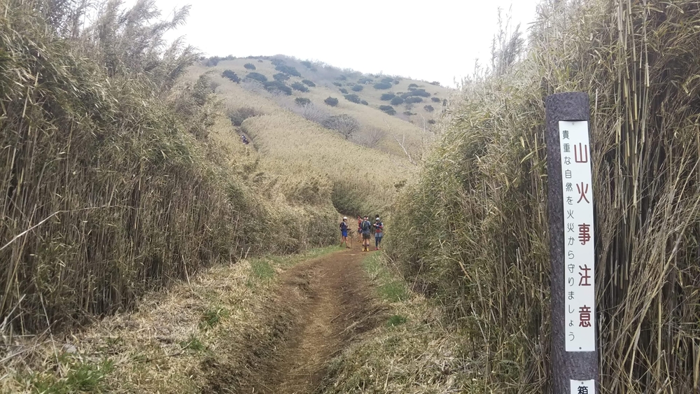 箱根外輪山ぐるっと一周トレイル50km ランニングコース丨ラントリップ Runtrip