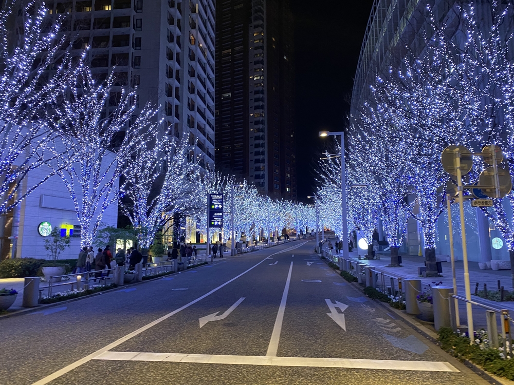 大江戸2020の都心部分のコースの写真4