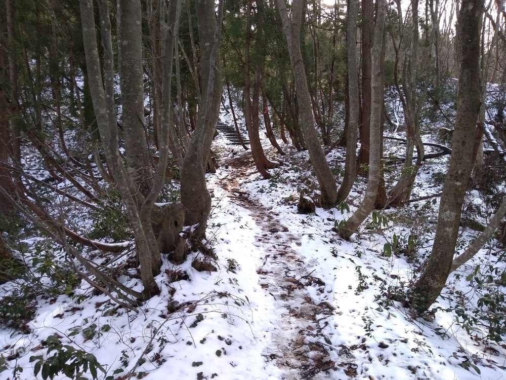 富山　庄川水記念公園～閑乗寺公園～八乙女山　トレランの写真8
