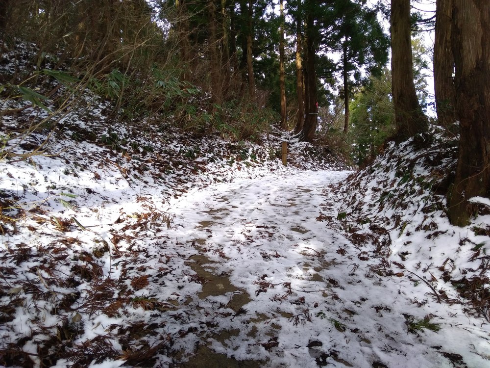富山　庄川水記念公園～閑乗寺公園～八乙女山　トレランの写真11