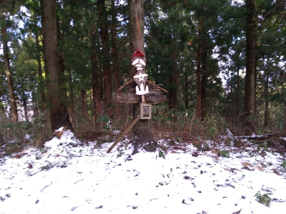富山　庄川水記念公園～閑乗寺公園～八乙女山　トレランの写真12