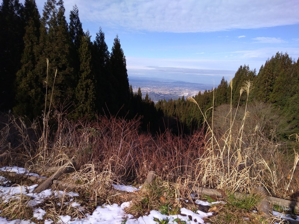 富山　庄川水記念公園～閑乗寺公園～八乙女山　トレランの写真13