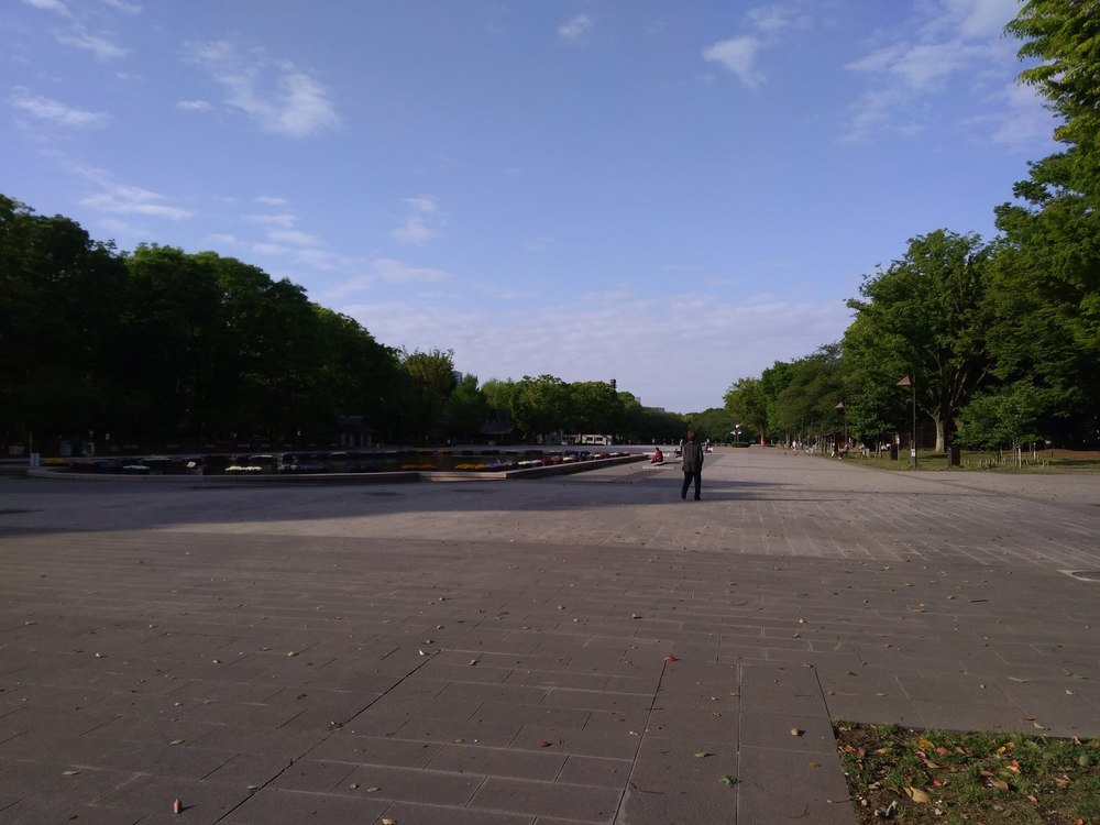 東京　上野公園　迷子ランの写真3