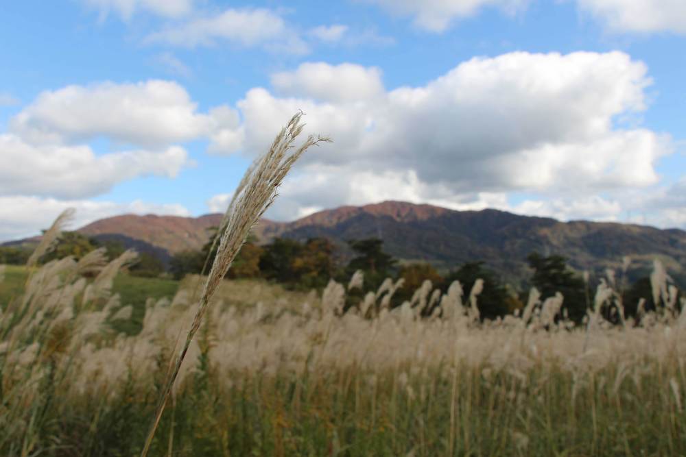 石川　金沢キゴ山トレイル＋ロードの写真10