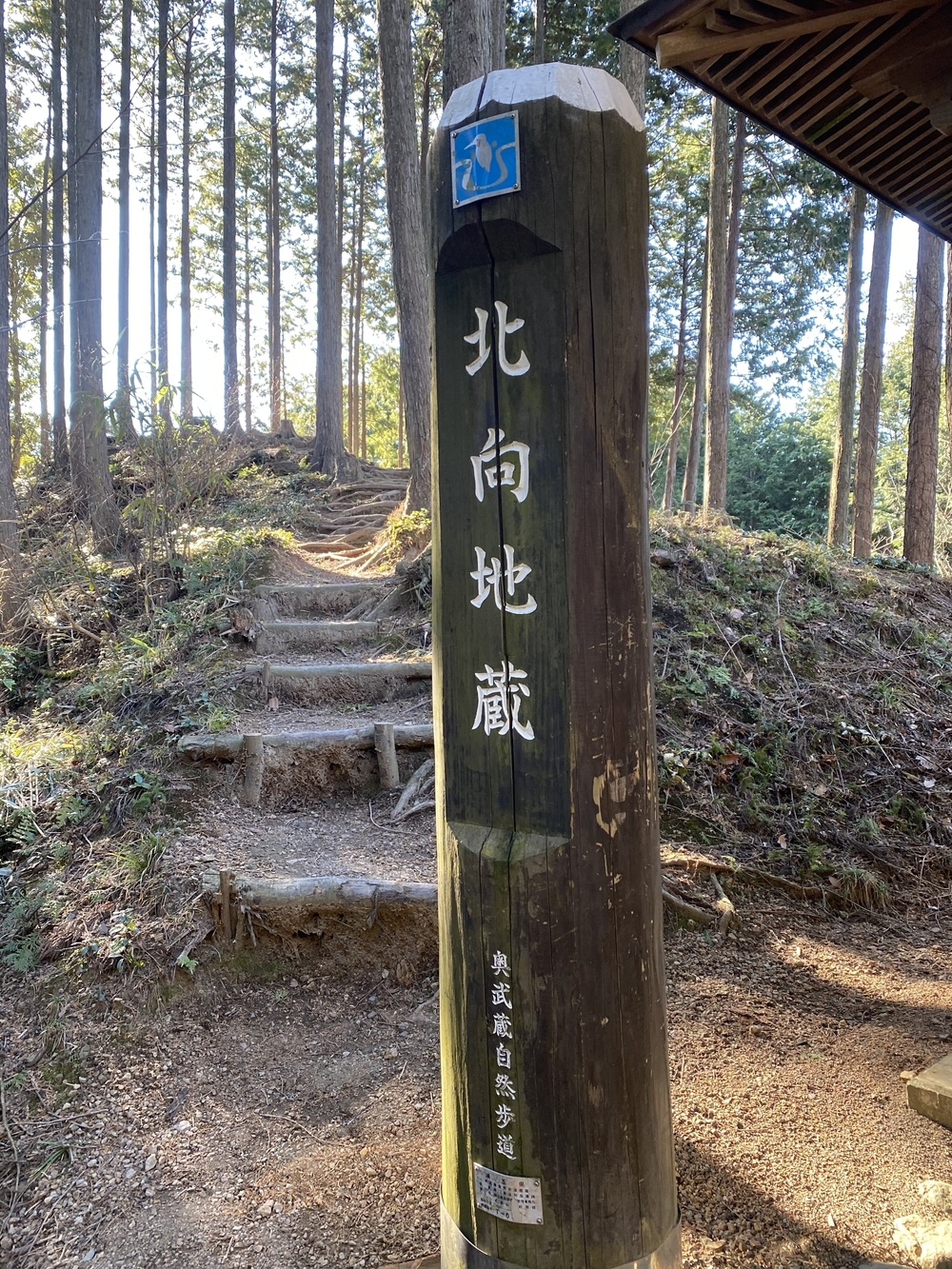 飯能【猪鍋】トレイルの写真4