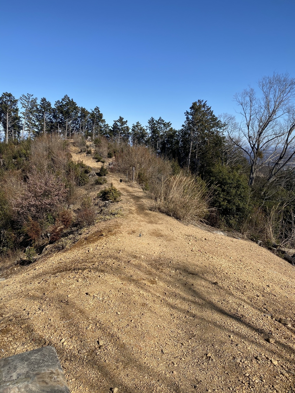 飯能【猪鍋】トレイルの写真6