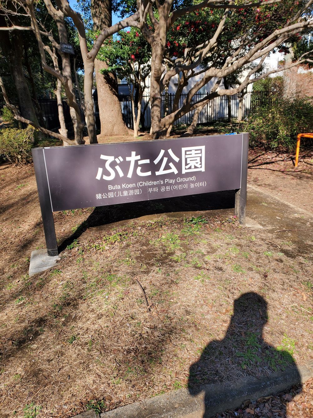 駒沢公園～戸越銀座ファン(パン🍞)RUN🏃‍♂️🏃‍♀️💨の写真9