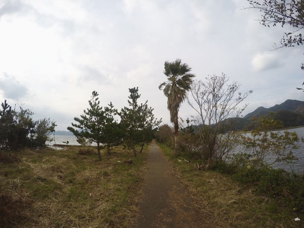 青海島最高峰高山トレランコースの写真3