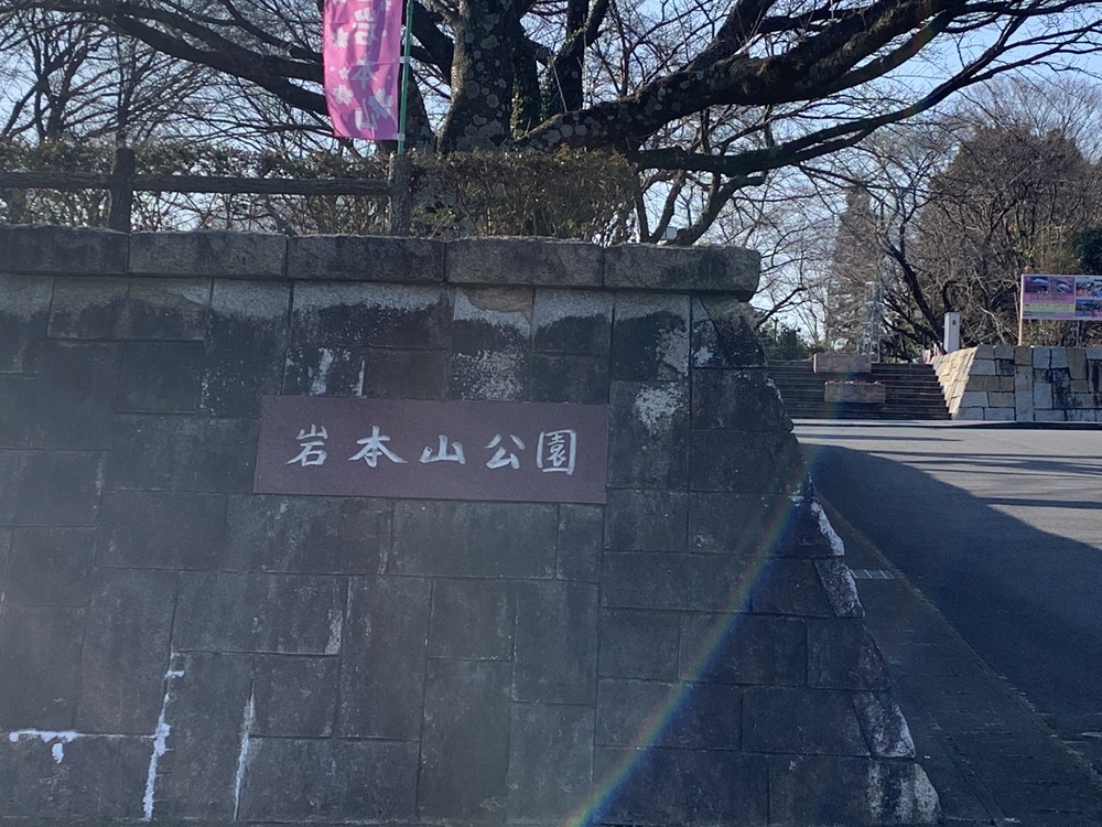 富士駅から岩本山公園まで 梅・桜を求めての往復14㎞コースの写真6