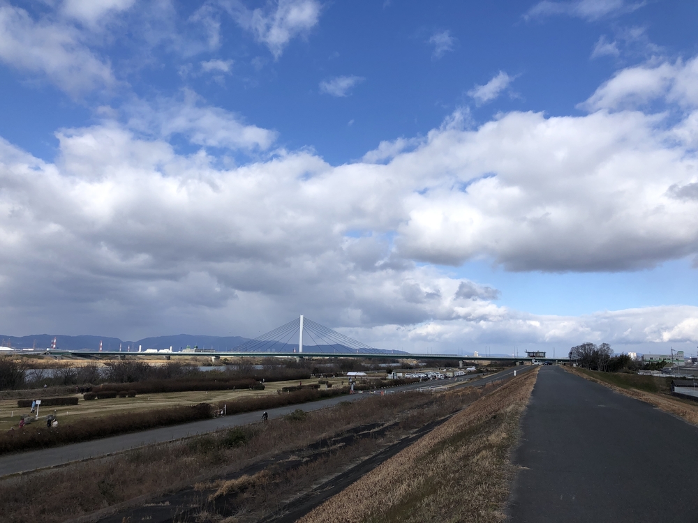 淀川河川敷 淀川新橋～鳥飼大橋11km！の写真3