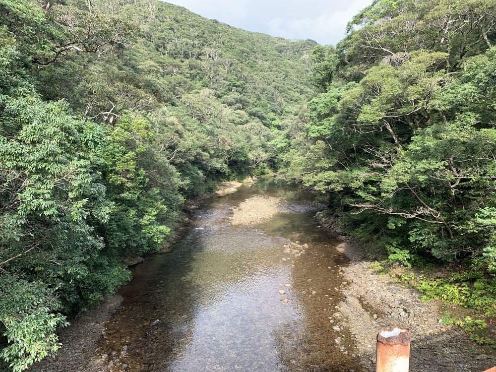 OSJ奄美ジャングルトレイル2020の写真3