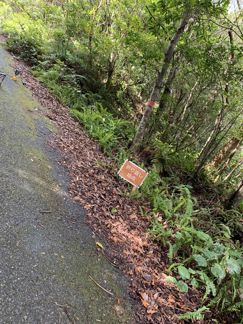 OSJ奄美ジャングルトレイル2020の写真4