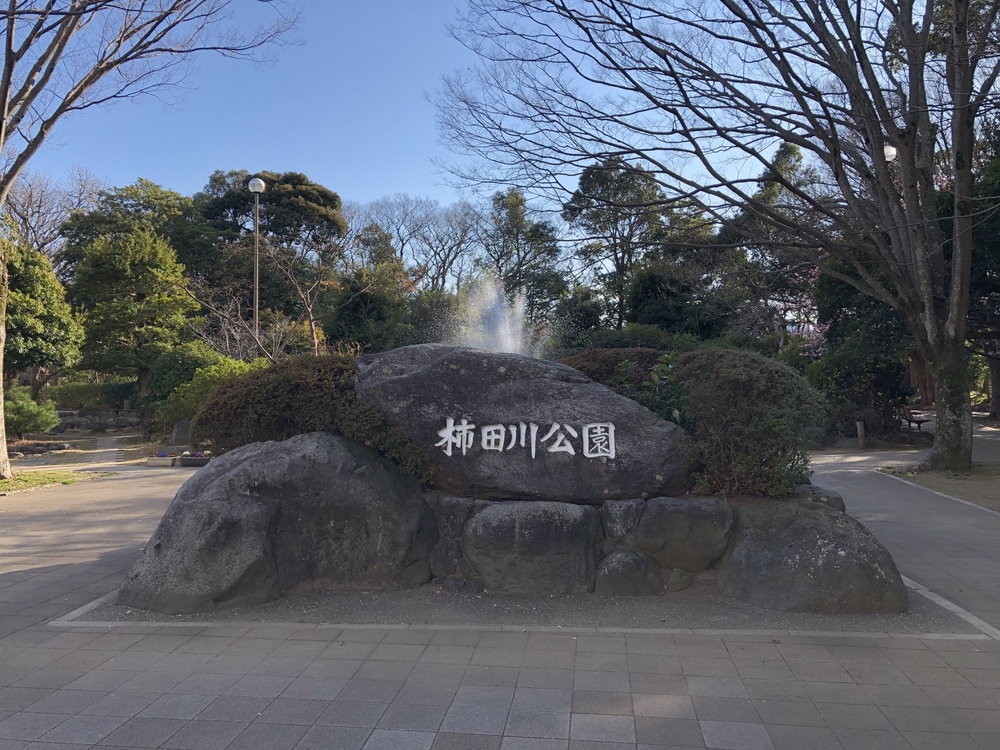 柿田川湧水〜沼津港〜狩野川の写真3