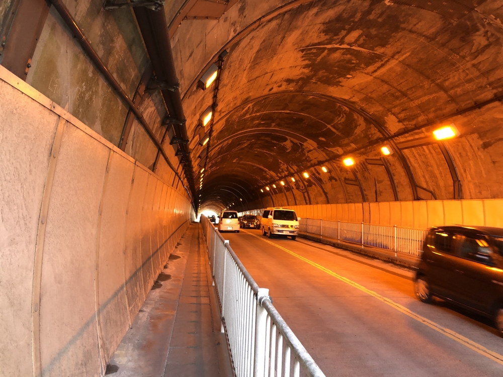 柿田川湧水〜沼津港〜狩野川の写真7