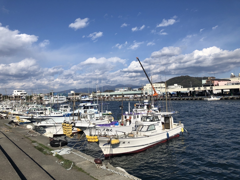 柿田川湧水〜沼津港〜狩野川の写真14