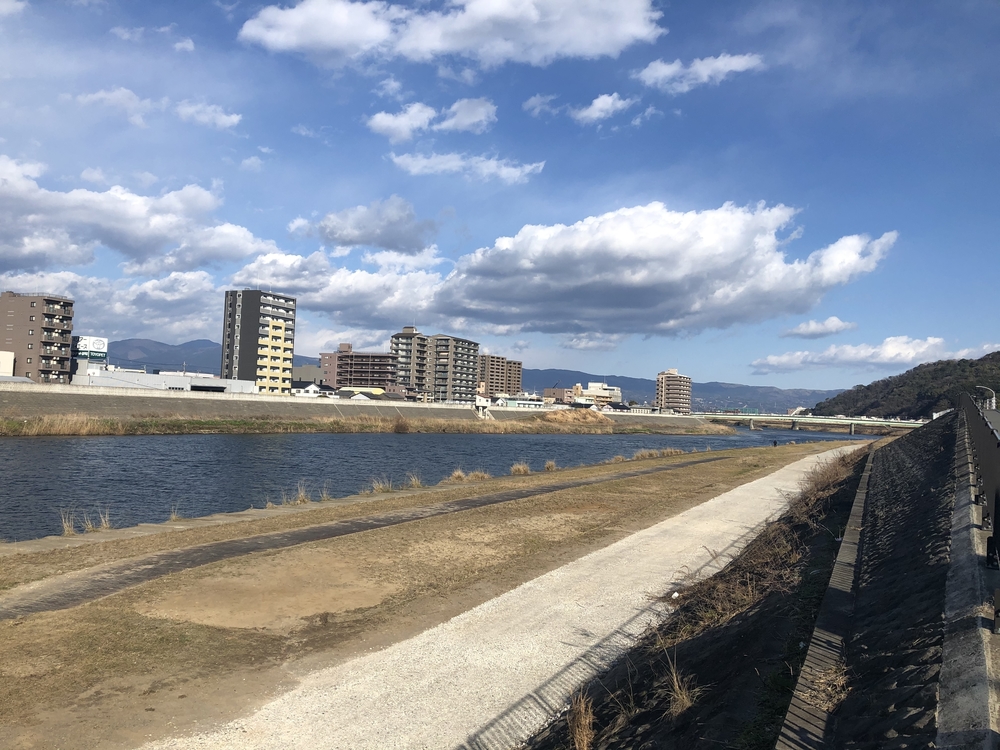 柿田川湧水〜沼津港〜狩野川の写真17