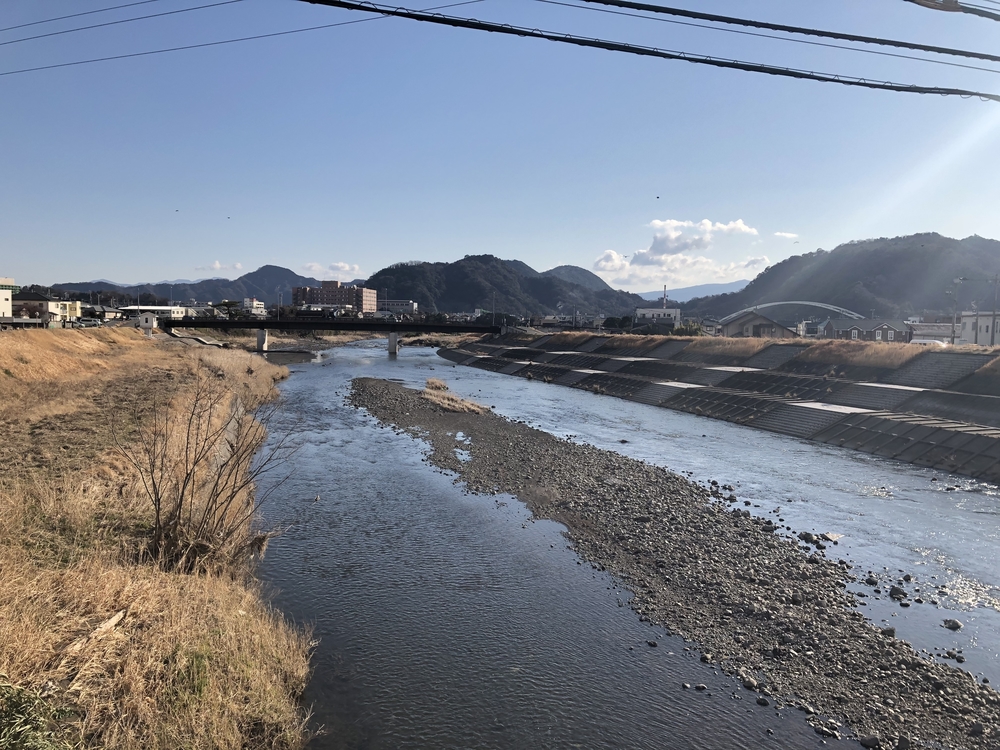 柿田川湧水〜沼津港〜狩野川の写真20