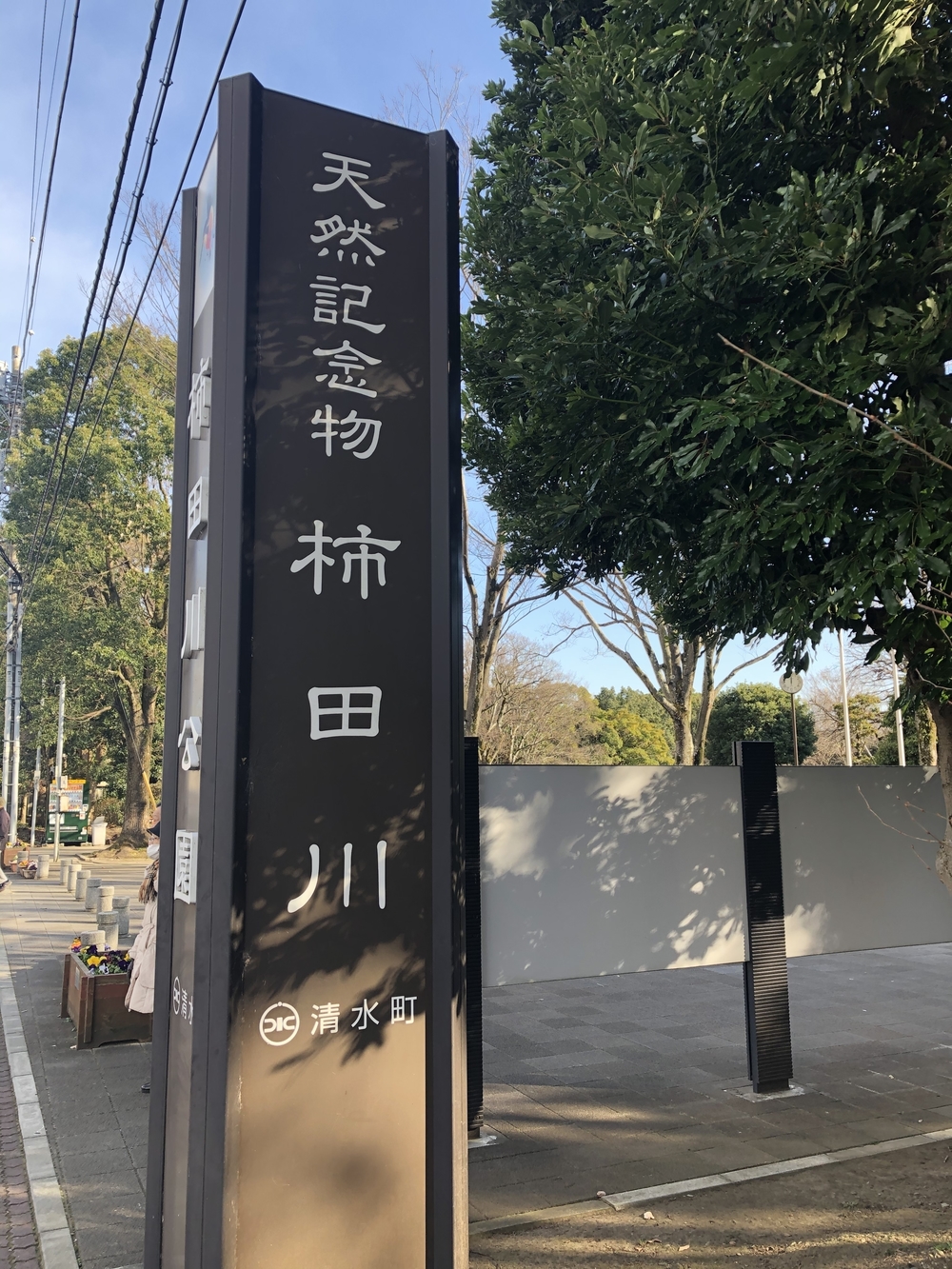 柿田川湧水〜沼津港〜狩野川の写真23