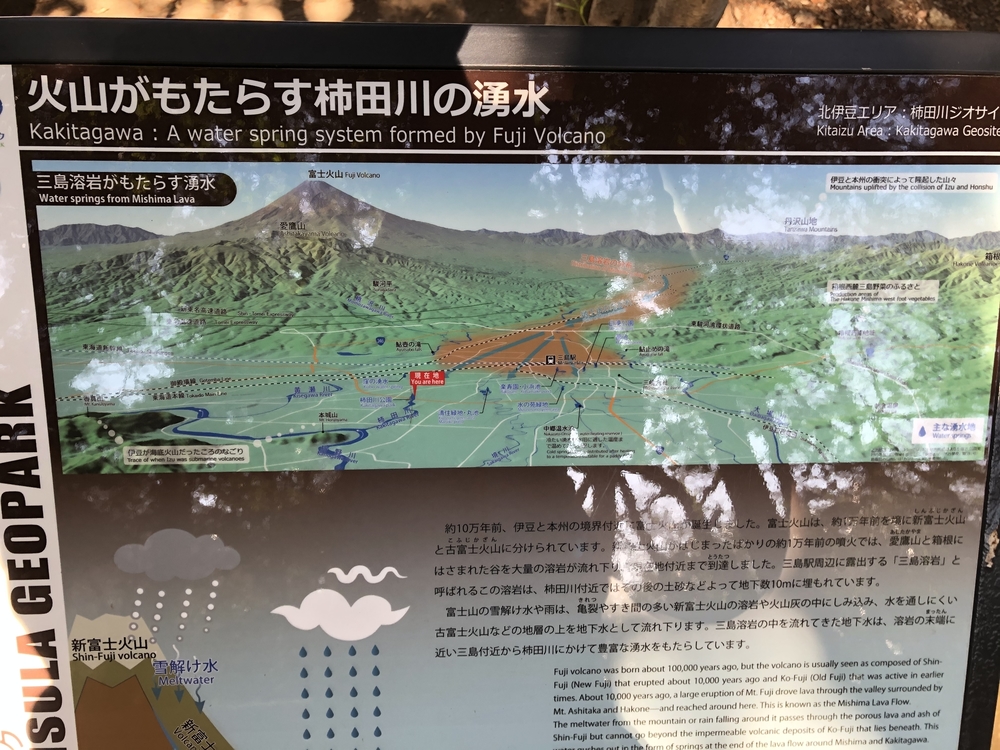 柿田川湧水〜沼津港〜狩野川の写真25