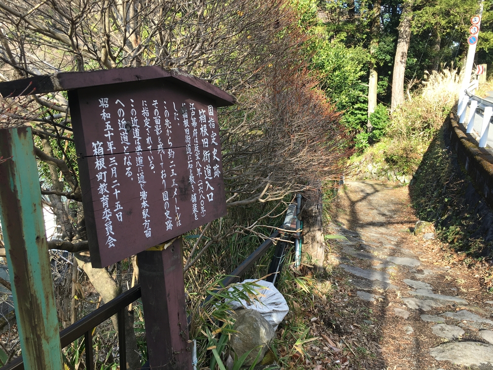 研修ラン　箱根湯本で軽くトレランの写真3