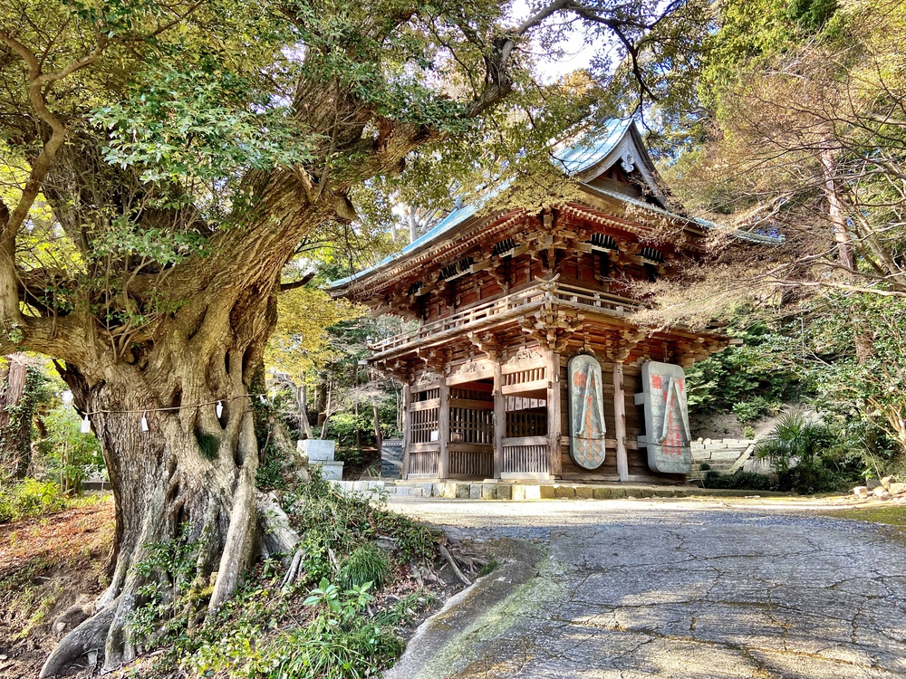 筑波山梅林坂路ランの写真4