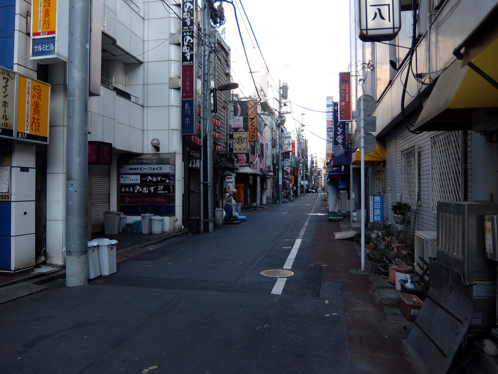 北海道マラソン in TOKYOの写真5