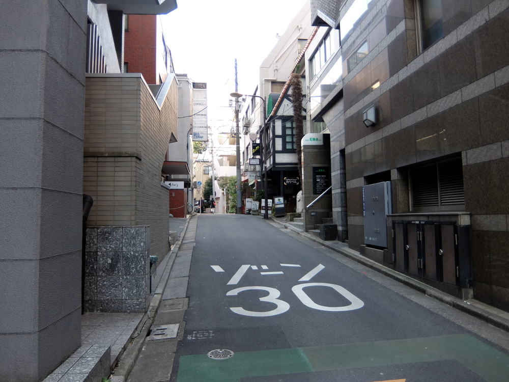 北海道マラソン in TOKYOの写真7