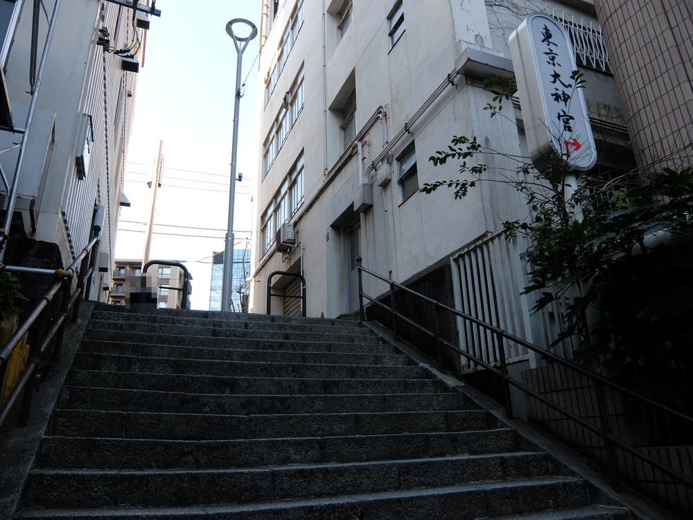 北海道マラソン in TOKYOの写真8