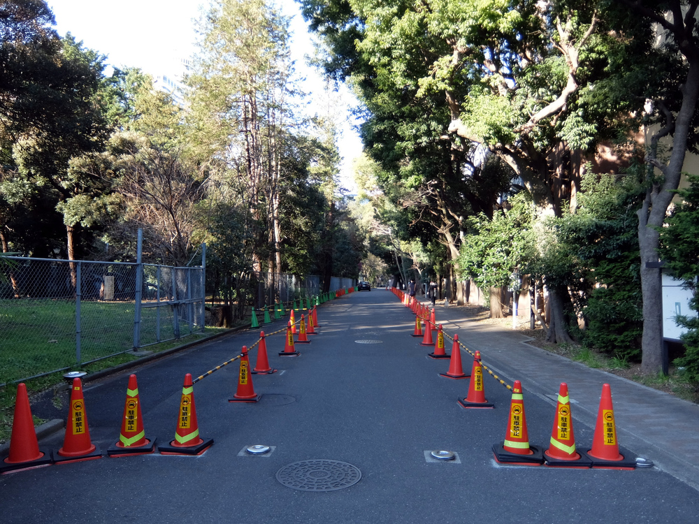 北海道マラソン in TOKYOの写真10