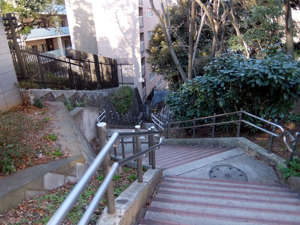 北海道マラソン in TOKYOの写真11