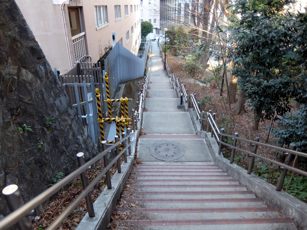 北海道マラソン in TOKYOの写真12