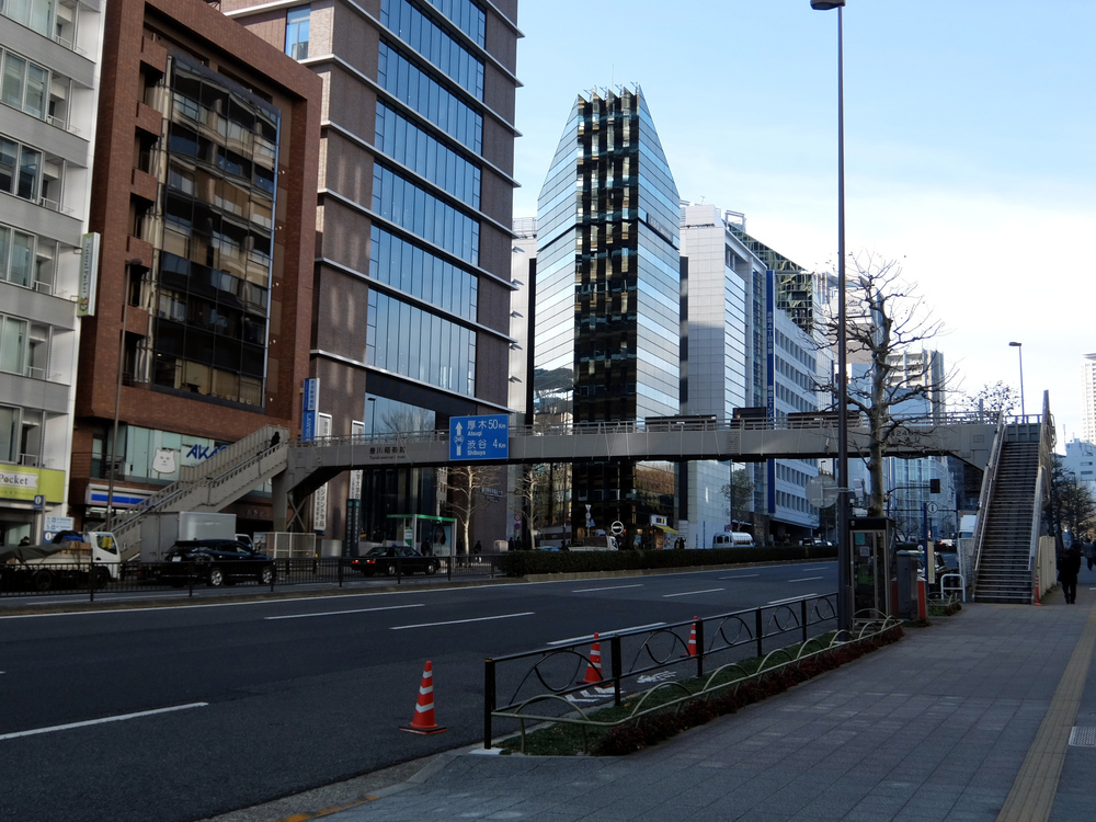 北海道マラソン in TOKYOの写真13