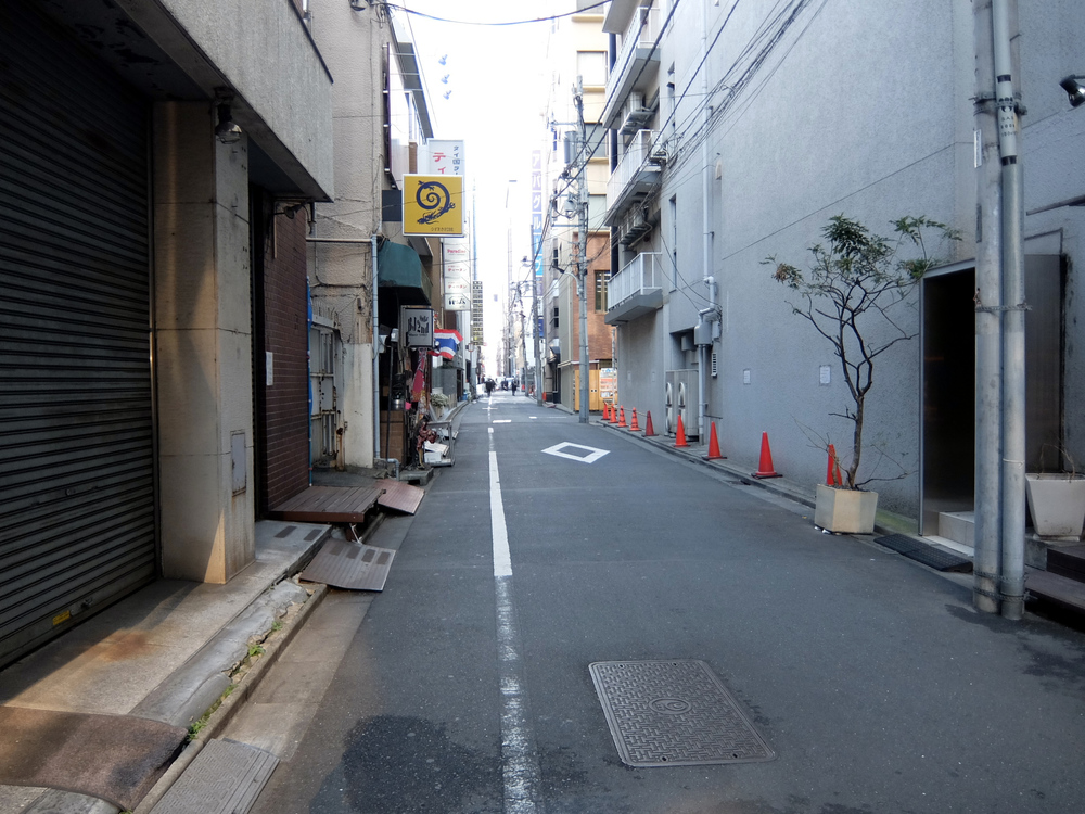 北海道マラソン in TOKYOの写真15