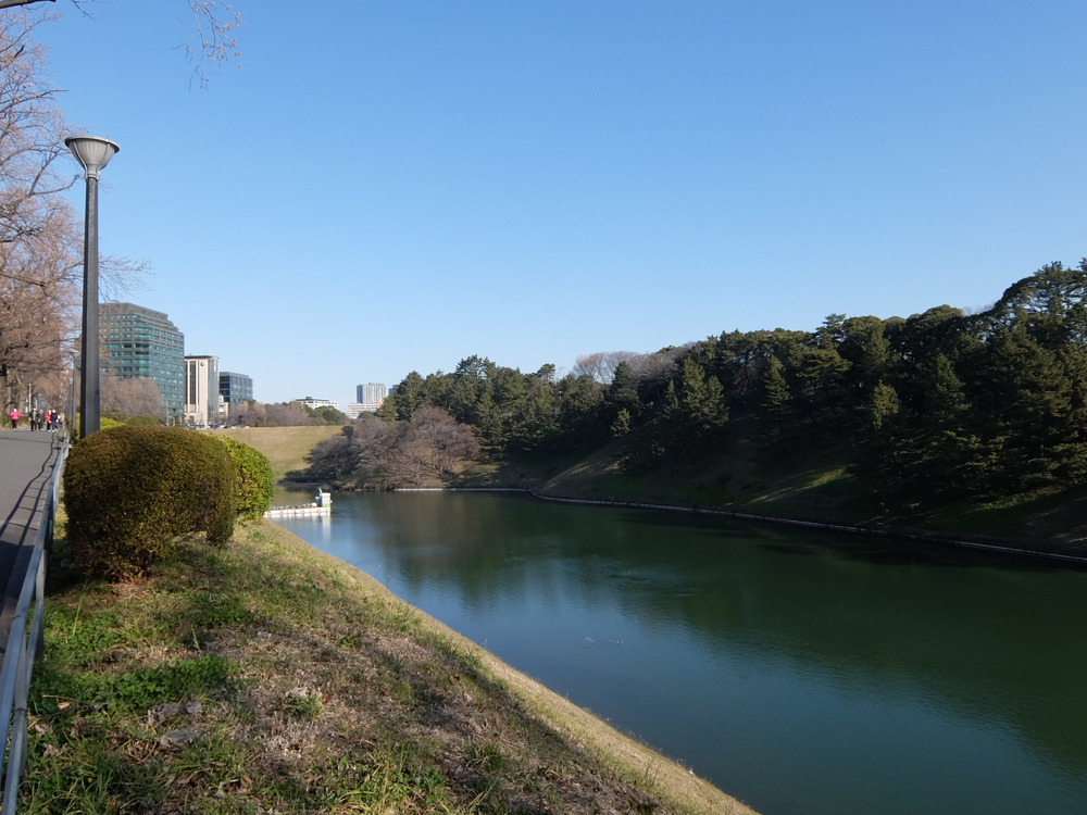 北海道マラソン in TOKYOの写真16