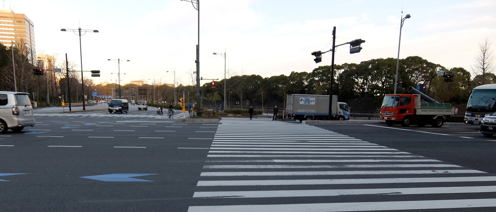 北海道マラソン in TOKYOの写真17