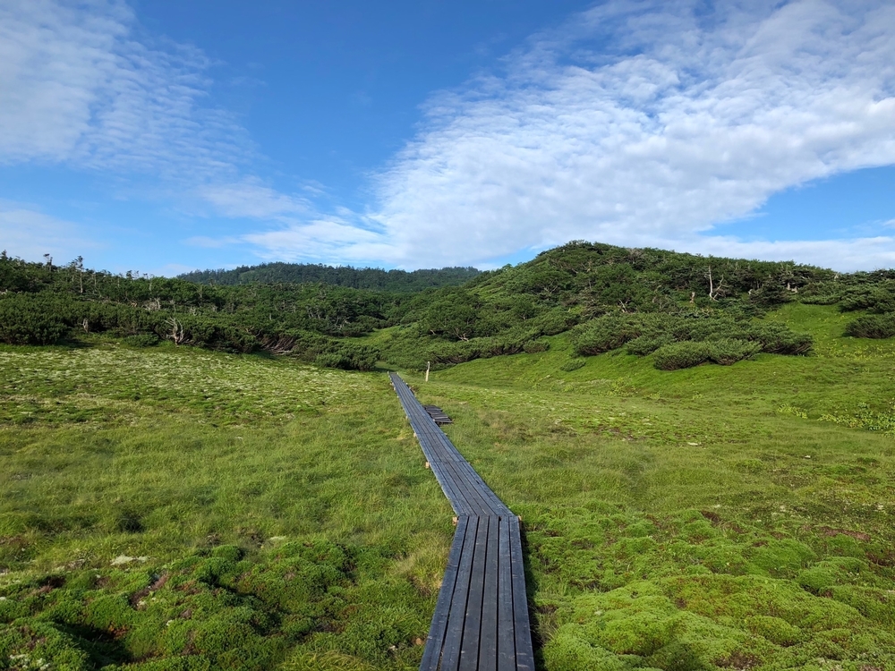 南アルプス縦走コースの写真3