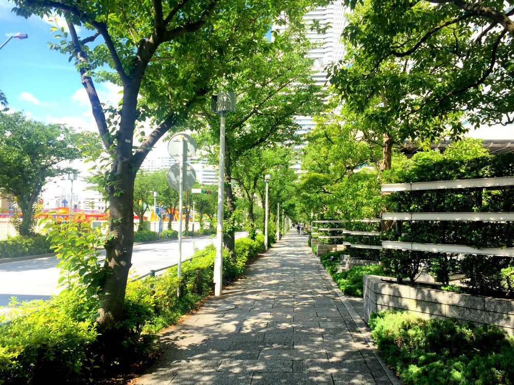 みなとみらいジョギングコース（臨港パーク・ランドマークタワー）の写真3