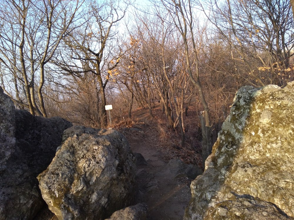 韓国　チョナン　聖居山ピストンの写真17