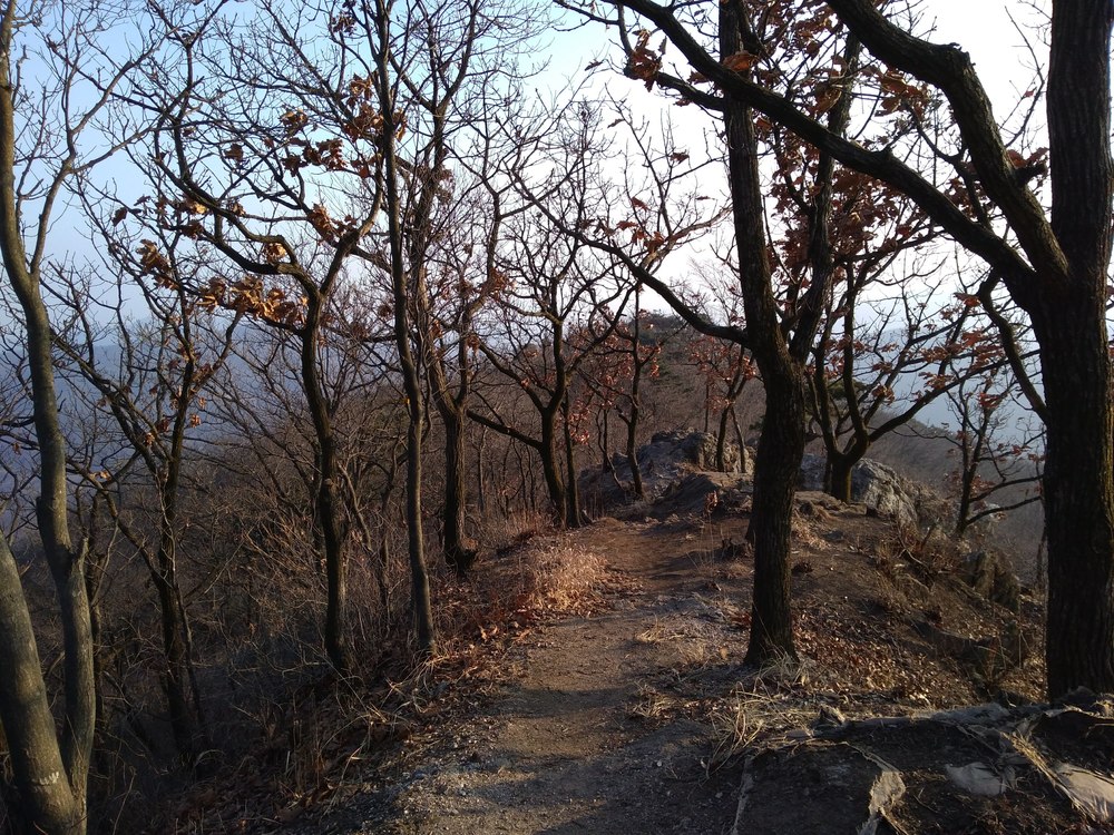 韓国　チョナン　聖居山ピストンの写真18
