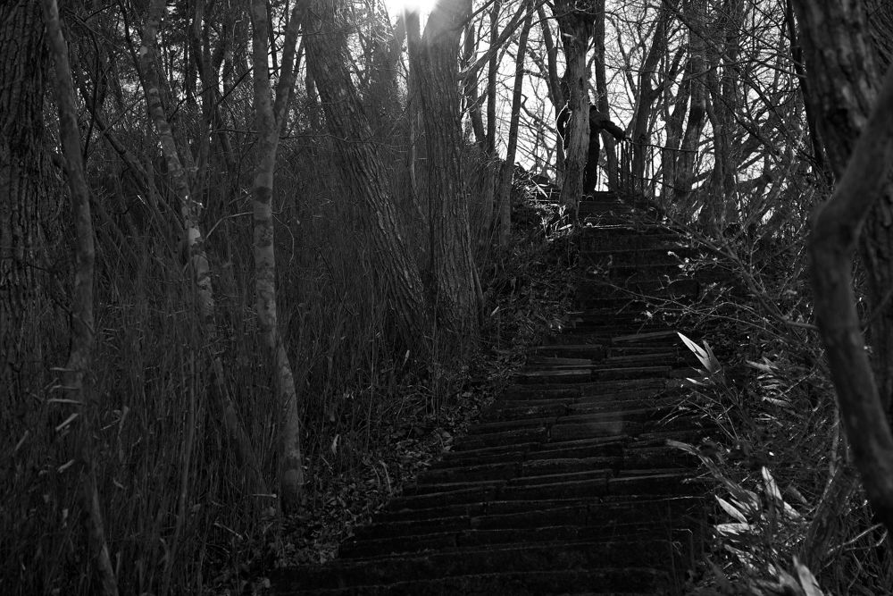 月居山で楽しむ袋田の滝と袋田自然研究路の写真6