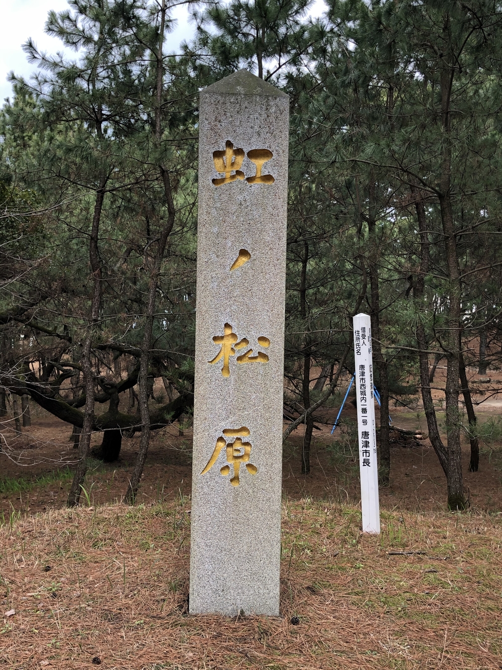 唐津城、虹の松原ランの写真3