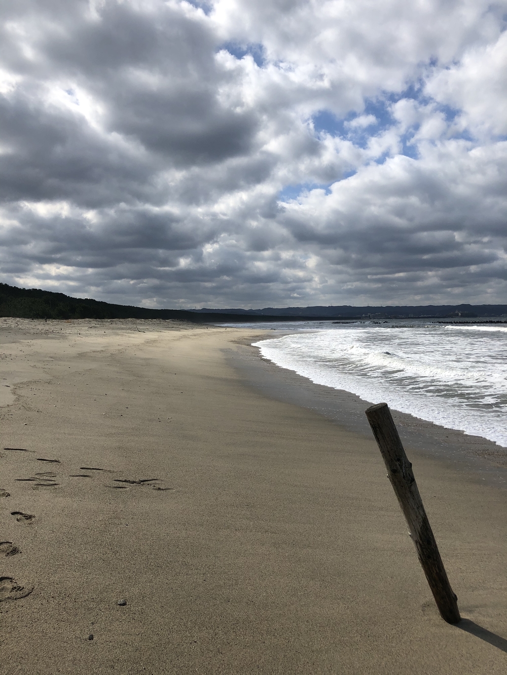 唐津城、虹の松原ランの写真5