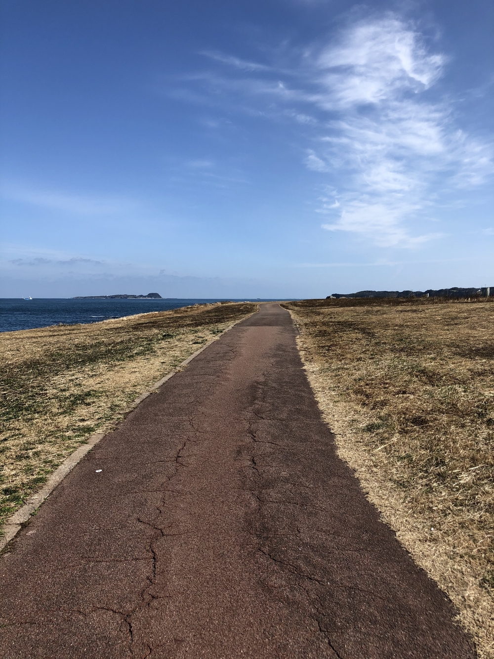 名護屋城、波戸岬ランの写真7