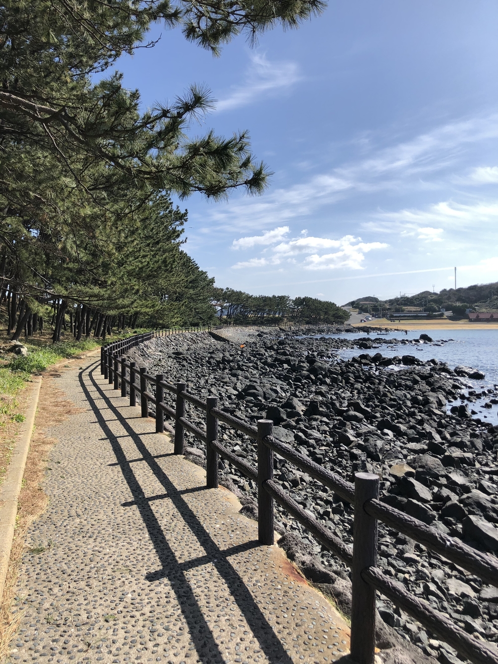 名護屋城、波戸岬ランの写真9