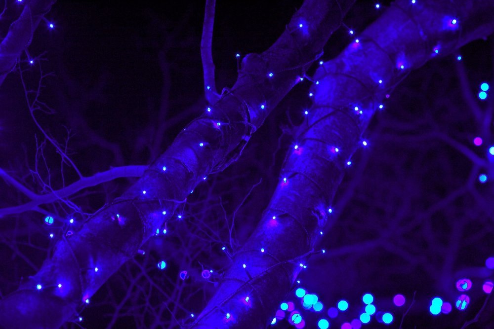 渋谷・表参道のイルミネーションとクリスマスツリーの写真3