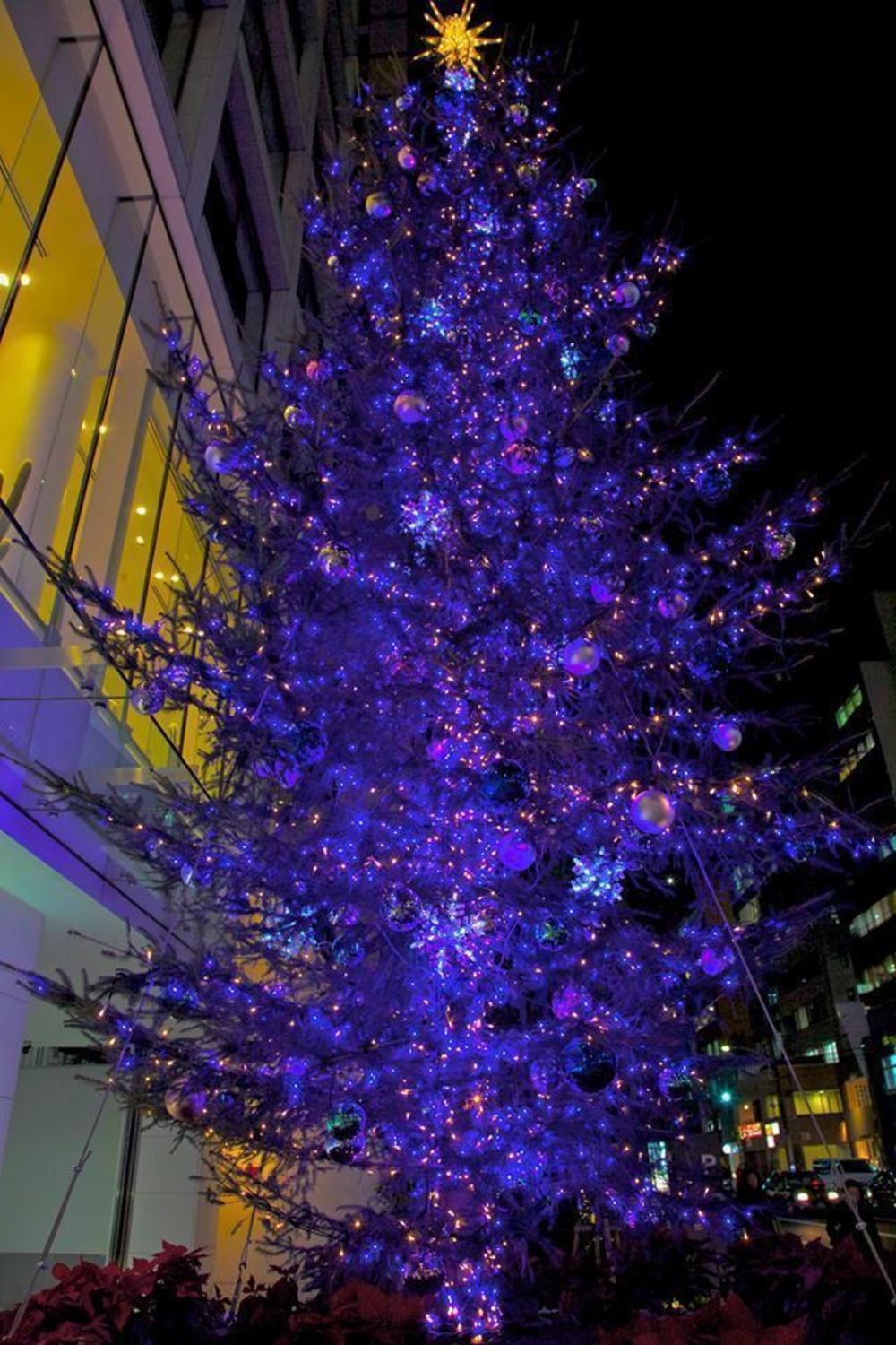 渋谷・表参道のイルミネーションとクリスマスツリーの写真7